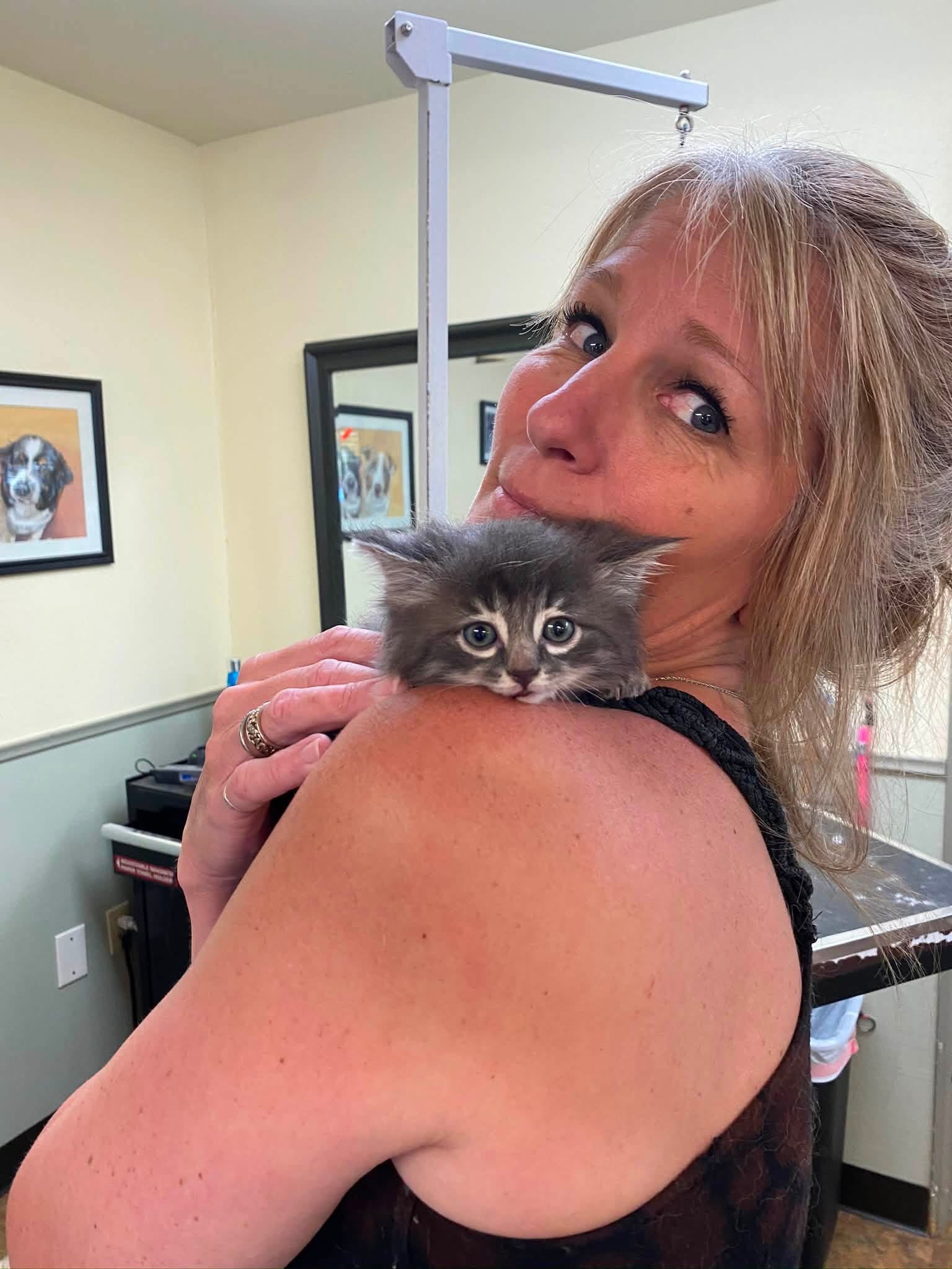 Kitten being held at the grooming shop